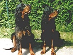 Mutter und Tochter