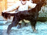 ca. 2 Jahre alt