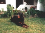 Maxi mit 4 Jahren
