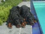 Chivas rechts - und sein Freund Bentley