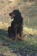 Corry mit 4 Jahren