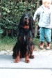 Dreamboy 18 Monate alt (Welpentreffen 2001)