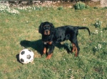 Oder doch lieber einen Ball?