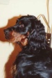 DJ - mit 2 Jahren