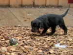 Ich bin auch f�r Spielen.