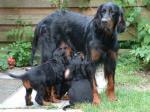 Auf diesem Bild sind wir 3 Wochen �lter. Der Durst ist gleich gro�.