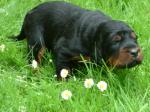 14 Tage alt