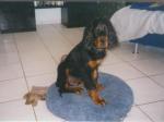 Flash mit 13 Wochen