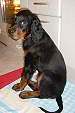 und nat�rlich auch die K�che !