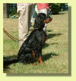 Spotty - was geht im Ring vor?