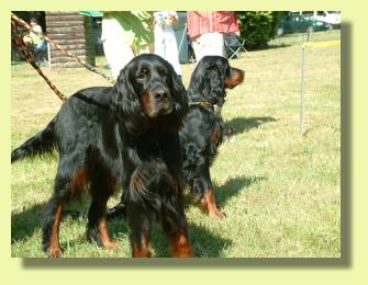 Danger und Spotty